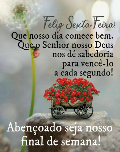 Terreno a venda no bairro Santo Antônio Criciúma